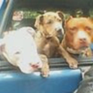 Meet your Posher, Amberleigh